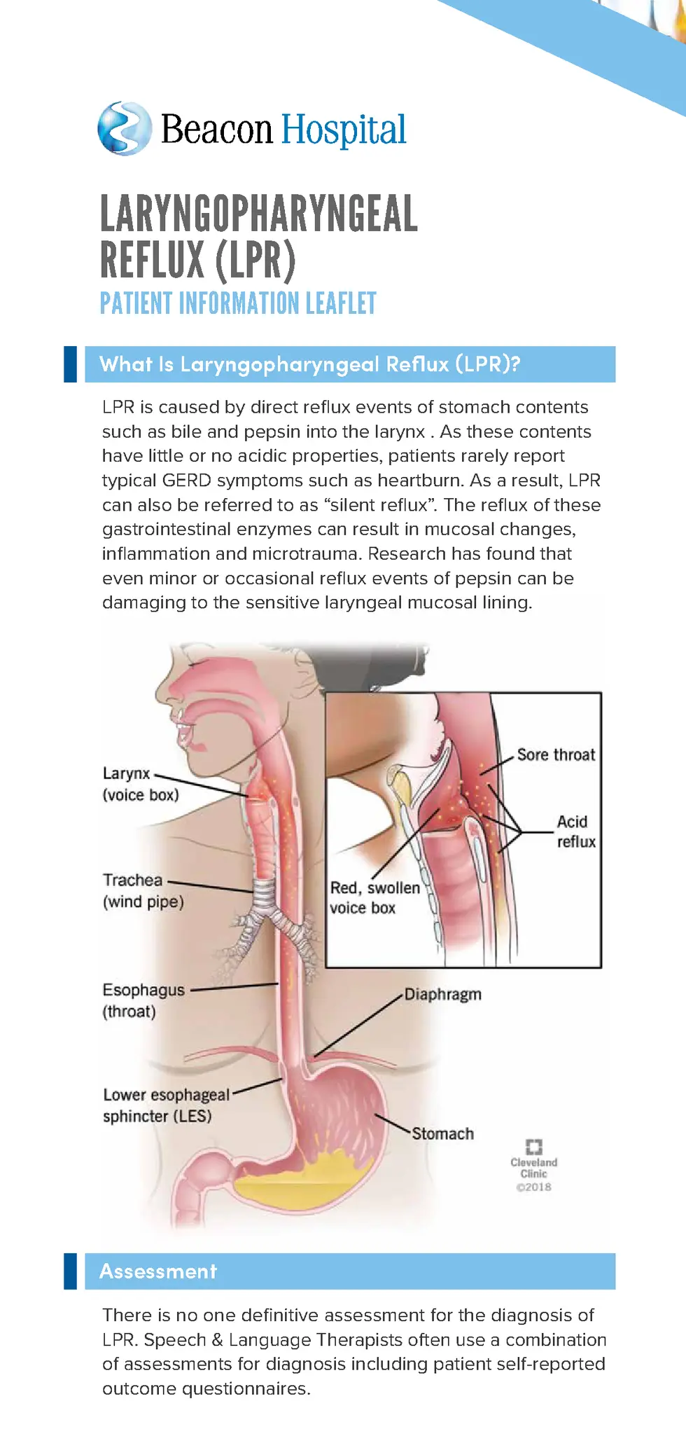 Laryngopharyngeal Reflux (LRP)